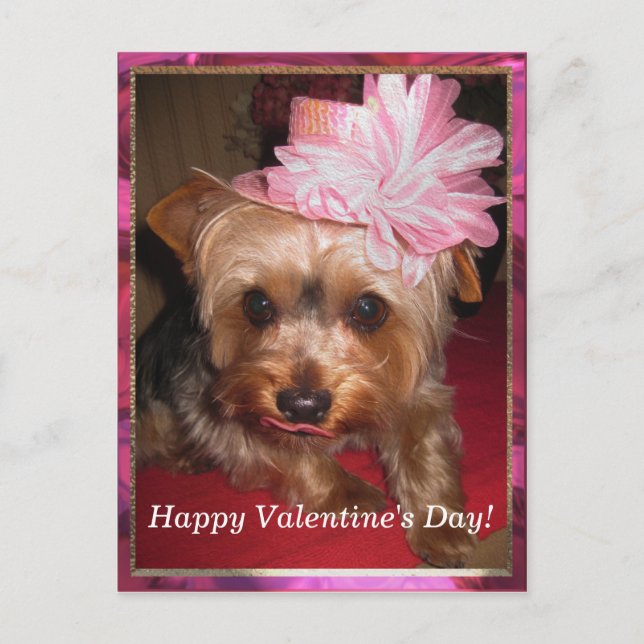Postal Festiva Día de San Valentín feliz Yorkie (Anverso)