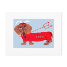 Diablo Dachshund