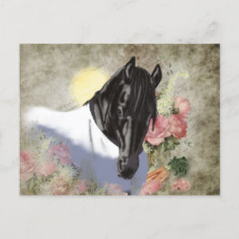 Postal Festiva DIAMONIO Friesiano - Postcard