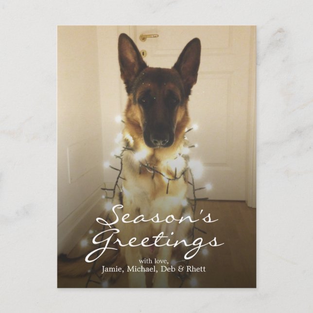 Postal Festiva ¿Dijiste Santa Paws? (Anverso)