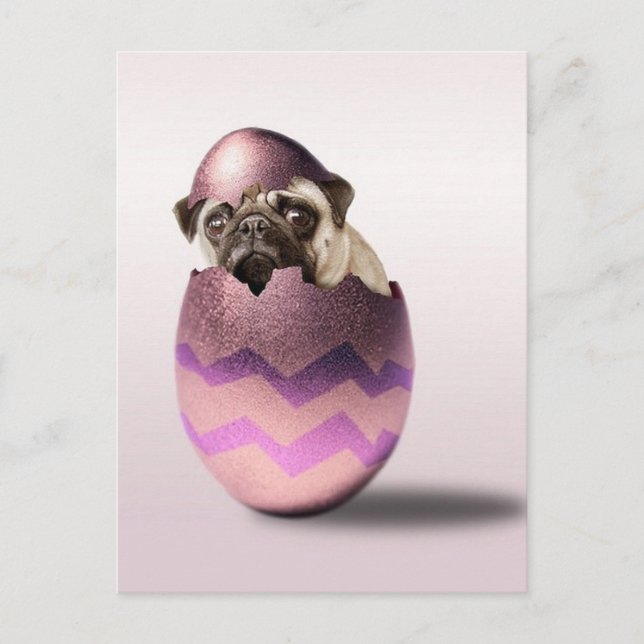 Postal Festiva Diseño de Huevos de Pascua Cute Pug (Anverso)