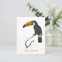 Diseño de pájaros tropicales para animales con ret