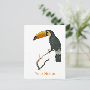 Postal Festiva Diseño de pájaros tropicales para animales con ret