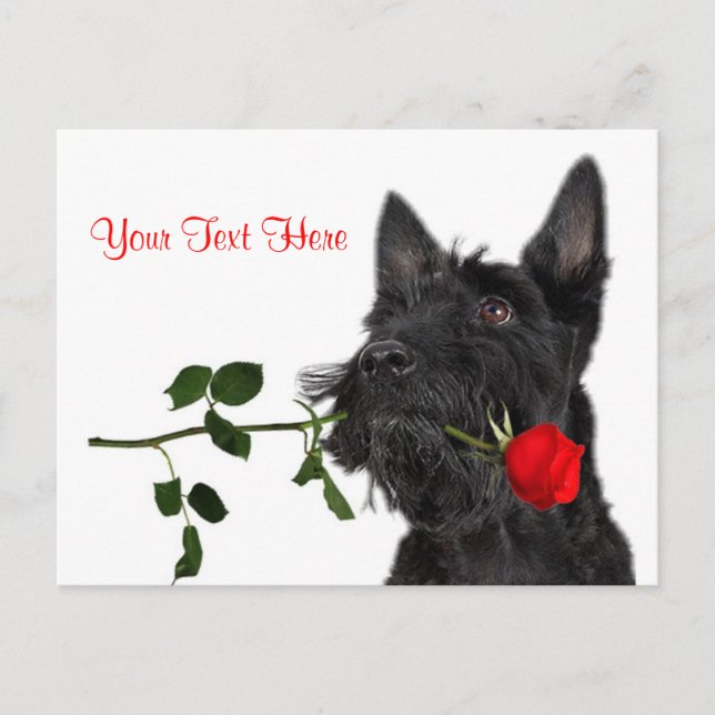 Postal Festiva Diseño de San Valentín de Rosa Rojo y Terrier Esco (Anverso)