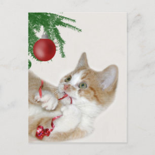 Postal Festiva Diversión de Navidades de gatos