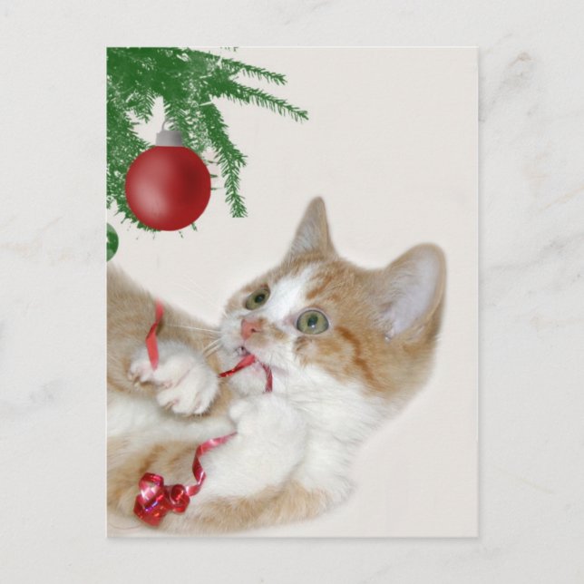 Postal Festiva Diversión de Navidades de gatos (Anverso)