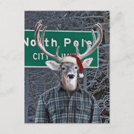 Postal Festiva Divertido ciervo con sombrero de Santa en Polo Nor
