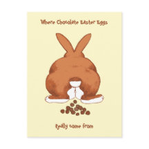 Divertido conejo de Pascua © Sandy Long