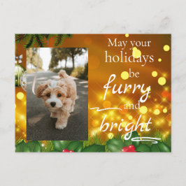 Postal Festiva Dog Cat Pet Custom Photo Christmas Postcard Funny