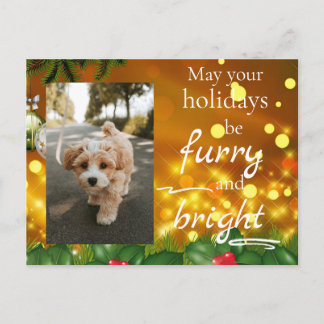 Postal Festiva Dog Cat Pet Custom Photo Christmas Postcard Funny