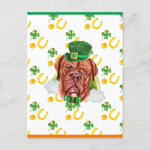 Postal Festiva Dogo de Burdeos del día de San Patricio trébol