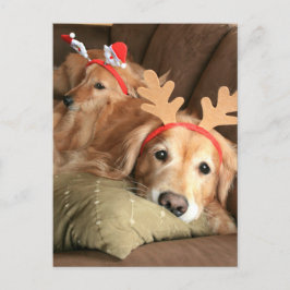 Postal Festiva Dos Navidades acuden a los Golden Retrivers