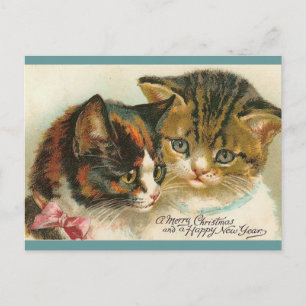 Postal Festiva Dos Navidades de Kitties