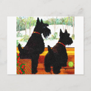 Postal Festiva Dos Perros Escoceses En Navidades