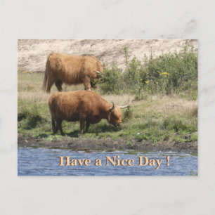 Postal Festiva Dos Vacas Marrones Cust. Que Tenga Un Buen Día Pos