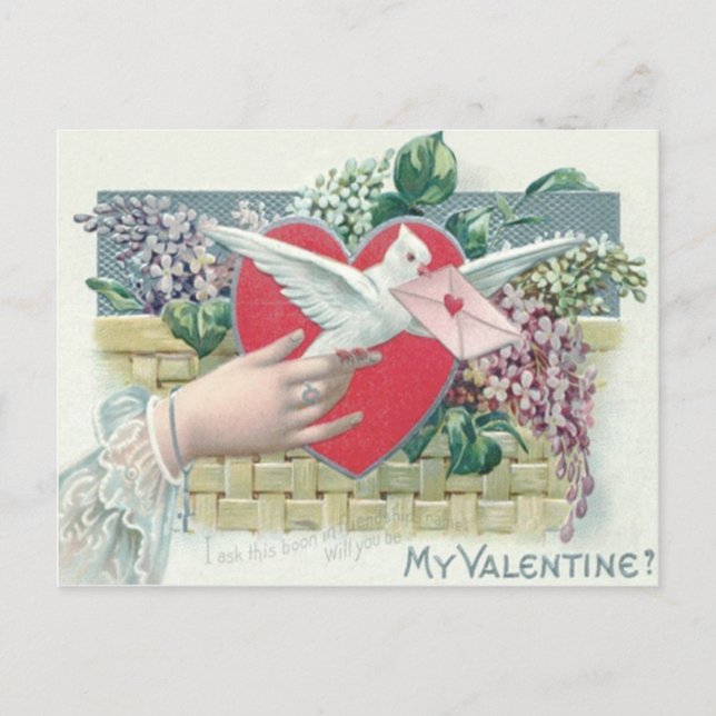 Postal Festiva Dove Heart Olvidé-Me-Not Valentine (Anverso)