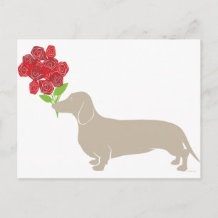Postal Festiva Doxie entrega 12 rosas rojas - ¡¡¡Día de San Valen