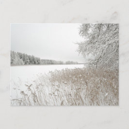 Postal Festiva Dreamy winter lake, New Year