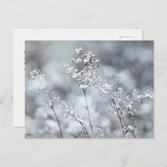 Postal Festiva Dreamy winter nature, New Year (Anverso / Reverso)