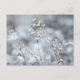 Postal Festiva Dreamy winter nature, New Year