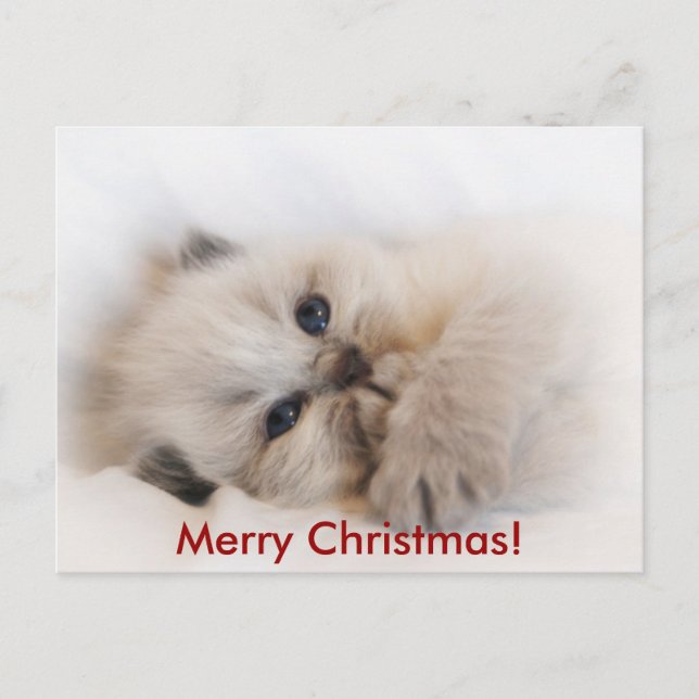 Postal Festiva e.e. 003, ¡Feliz Navidad! (Anverso)