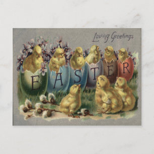 Postal Festiva Easter Bunny Basket Color Egg Sun Flower Field