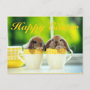 Postal Festiva Easter Cheer