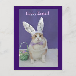 Postal Festiva Easter Kitty