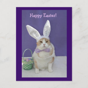 Postal Festiva Easter Kitty