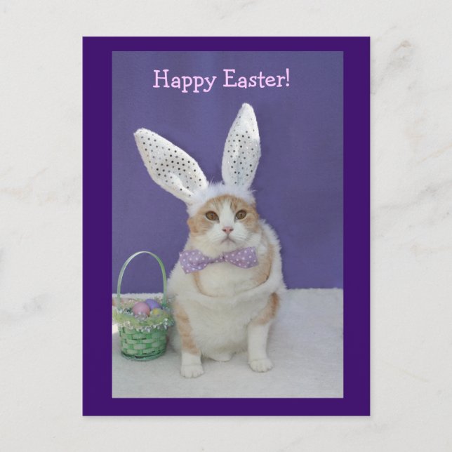 Postal Festiva Easter Kitty (Anverso)