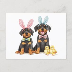 Postal Festiva Easter Rottweiler Dogs Bunny Ears