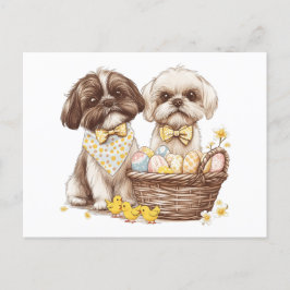 Postal Festiva Easter Shih Tzu Dogs