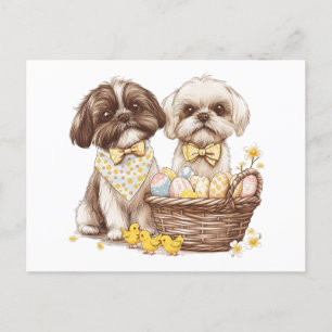 Postal Festiva Easter Shih Tzu Dogs