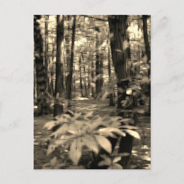 Postal Festiva Efecto digital forestal de la "impresión" de estil (Anverso)