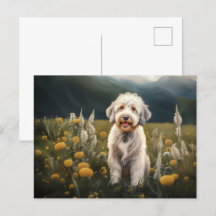 Ein wunderschöner weißer Hund