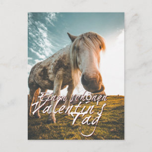Postal Festiva Einen schönen Valentinstag mit schauendem Pferd