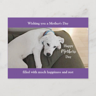Postal Festiva El día de la madre tira morado de perro de cachorr
