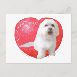 Postal Festiva El día de San Valentín de Havanese