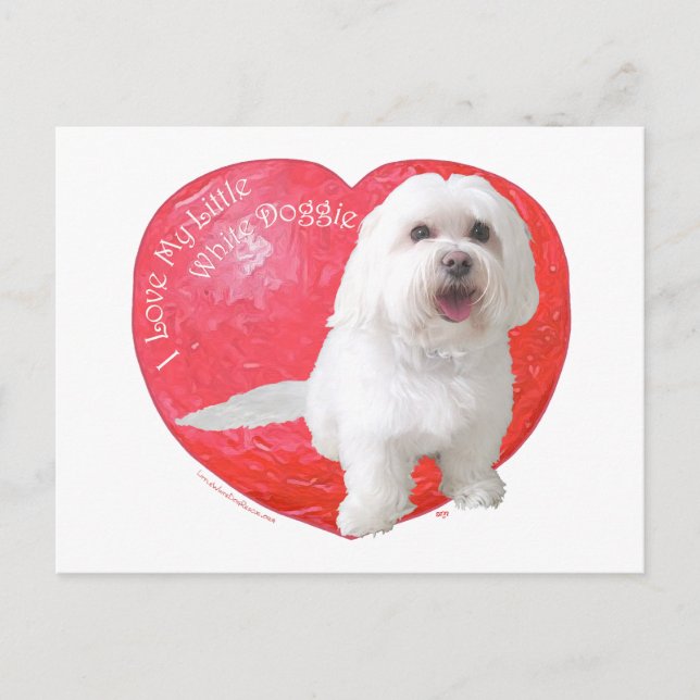 Postal Festiva El día de San Valentín de Havanese (Anverso)