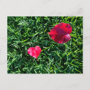 Postal Festiva El día de San Valentín de la naturaleza: hoja roja