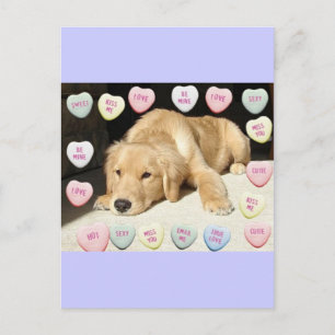 Postal Festiva El día de San Valentín Golden Retriever