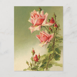 Postal Festiva El día de San Valentín Vintage Rosa de Jardín Vict