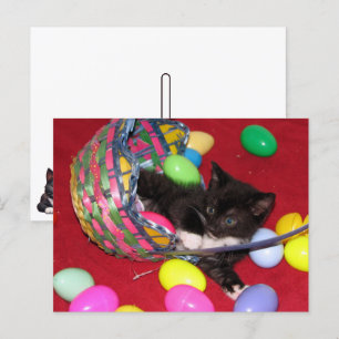 Postal Festiva El gato/gatito de Versace quiere pascua