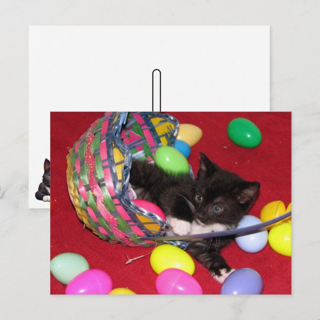 Postal Festiva El gato/gatito de Versace quiere pascua (Anverso / Reverso)