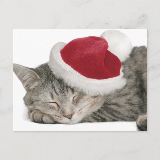 Postal Festiva El gato gris duerme en un casquillo del Año Nuevo (Anverso)