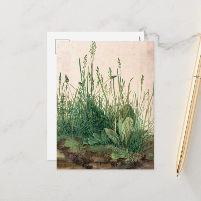 Postal Festiva El gran pedazo de turf de Albrecht Durer (Anverso/Reverso In Situ)