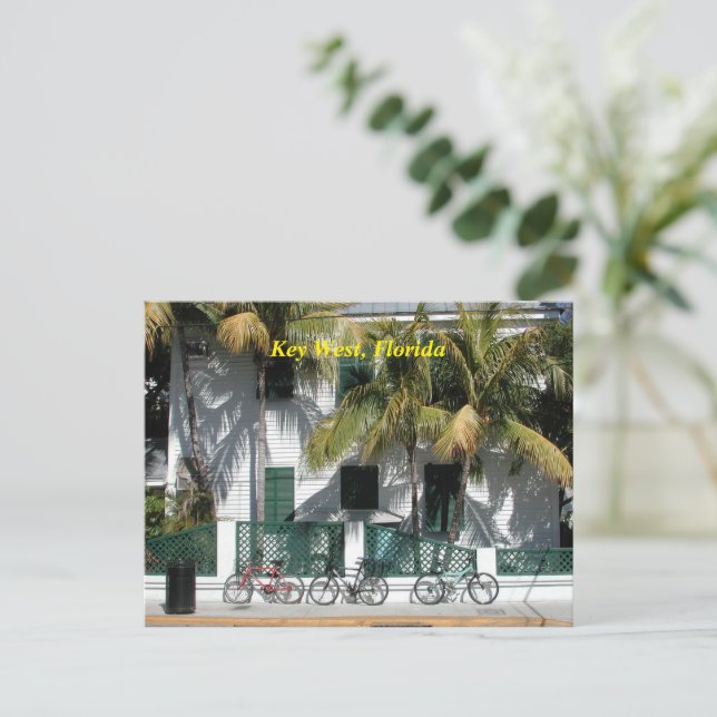 Postal Festiva El oeste de Florida (Anverso de pie)