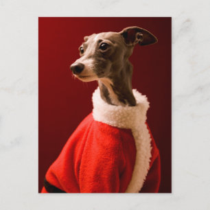 Postal Festiva El perro lleva la ropa de Papá Noel