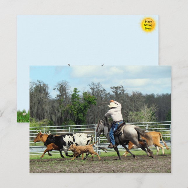 Postal Festiva El Roundup - Postcard de Cowboy (Anverso / Reverso)