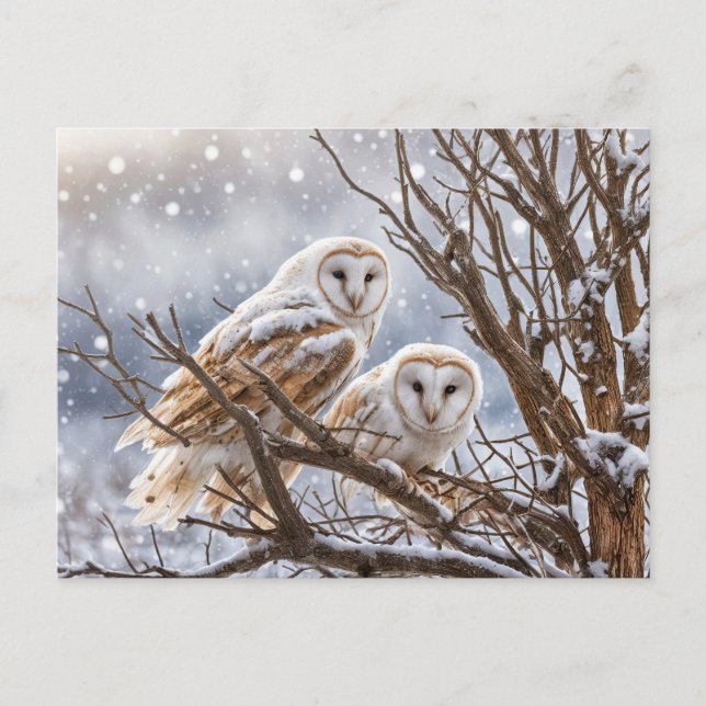 Postal Festiva El solsticio de invierno Yule Owls Snow (Anverso)
